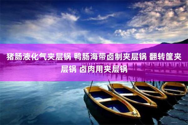 猪肠液化气夹层锅 鸭肠海带卤制夹层锅 翻转筐夹层锅 卤肉用夹层锅