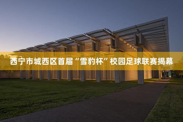 西宁市城西区首届“雪豹杯”校园足球联赛揭幕