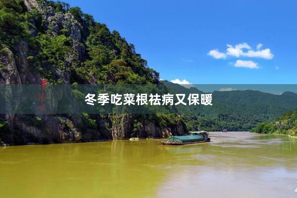冬季吃菜根祛病又保暖