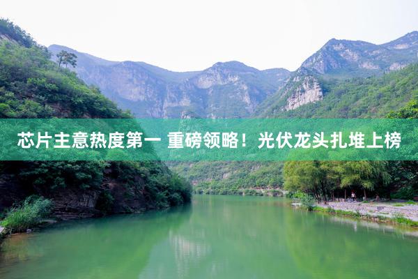 芯片主意热度第一 重磅领略！光伏龙头扎堆上榜