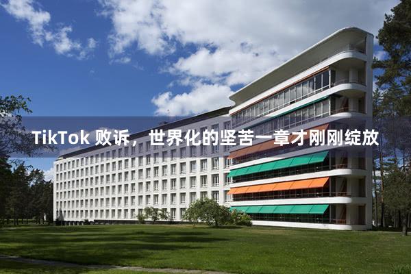 TikTok 败诉，世界化的坚苦一章才刚刚绽放