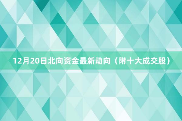 12月20日北向资金最新动向（附十大成交股）